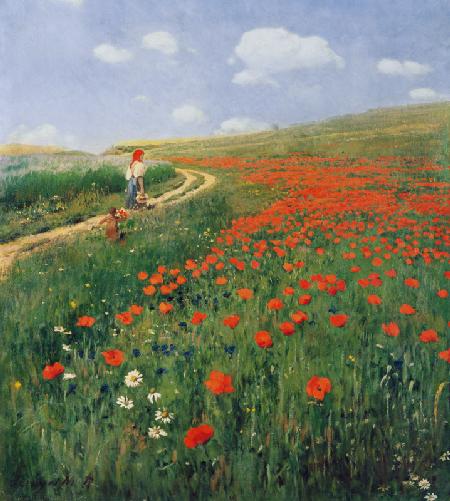 Summer landscape with a blossoming poppy