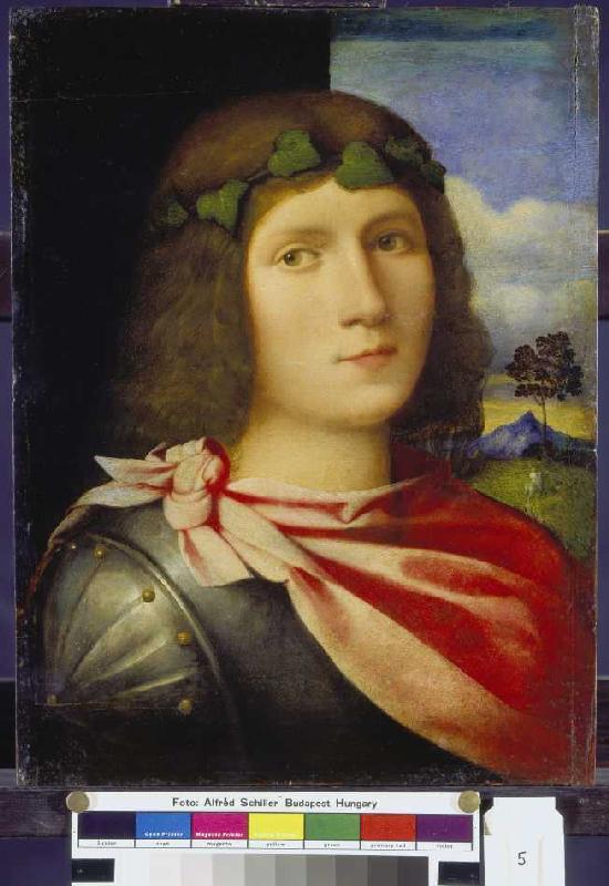 Half-length portrait of a juvenile. od Palma il Vecchio (eigentl. Jacopo Negretti)