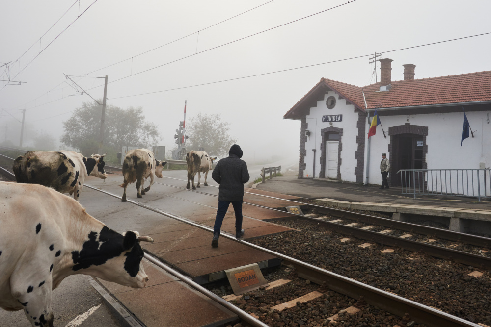 Morning at the Station od Panfil Pirvulescu