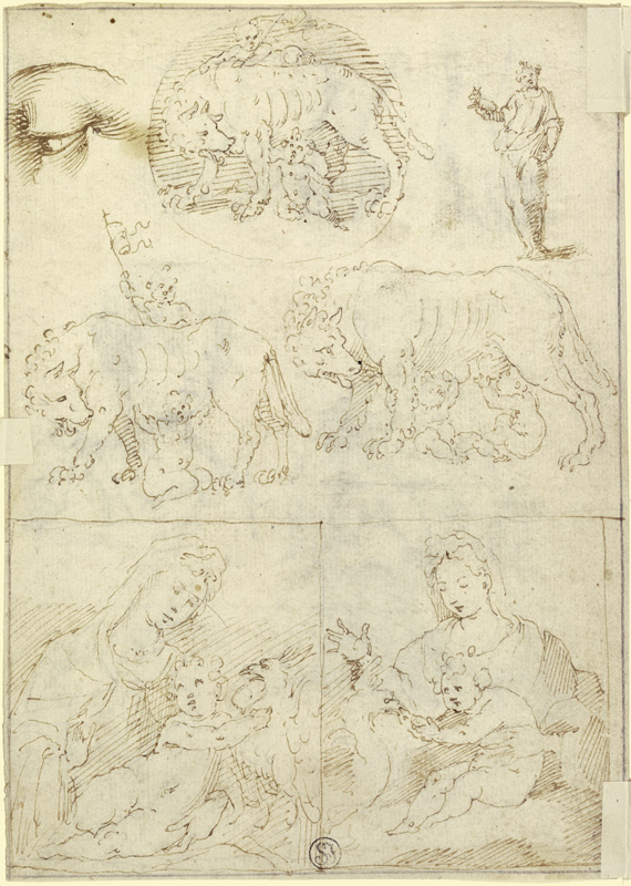 Studienblatt: Wölfin mit Romulus und Remus sowie Madonna od Parmigianino