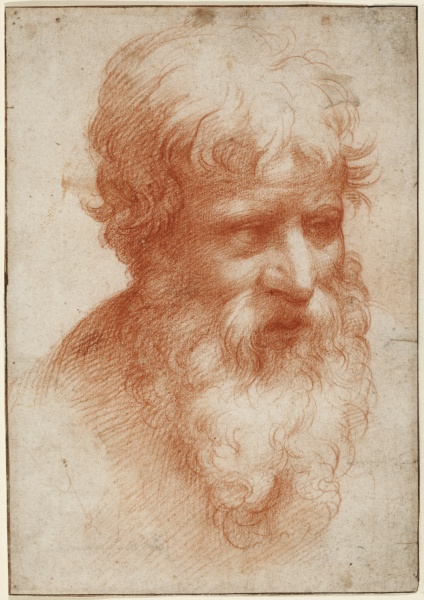 Head of a Bearded Man, looking right od Parmigianino
