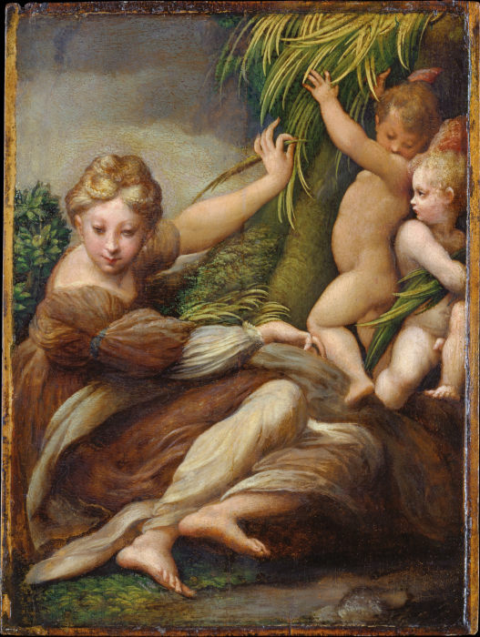 Female Martyr with Angels (Saint Catherine of Alexandria?) od Parmigianino