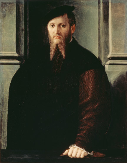 Portrait of a Man od Parmigianino