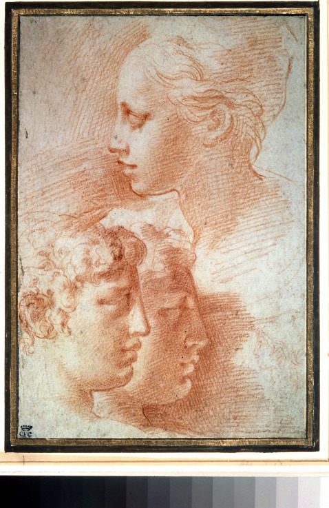 Study of the heads od Parmigianino