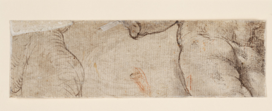Zwei Puttenkörper (fragmentarisch) od Parmigianino