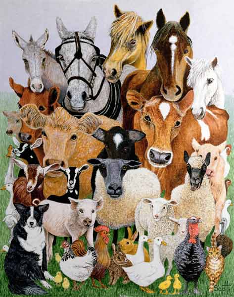 Animal Allsorts (oil on canvas)  od Pat  Scott