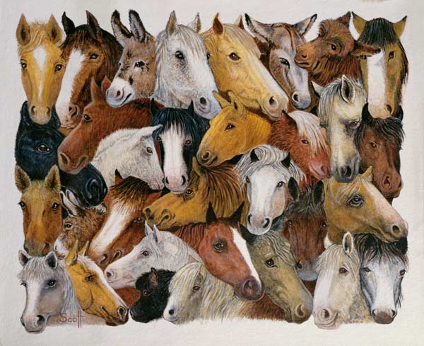 Horses Horses (oil on canvas)  od Pat  Scott