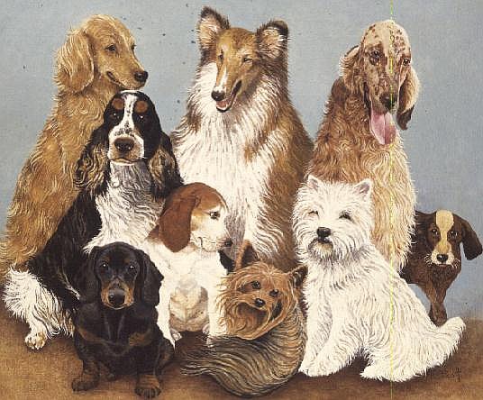 Dogs'' Dinner (oil on canvas)  od Pat  Scott