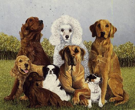 Oliver''s Dogs (oil on canvas)  od Pat  Scott
