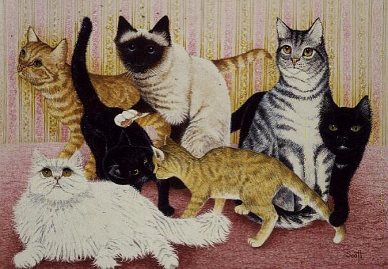 Stephanie''s Cats  od Pat  Scott