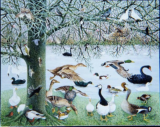 The Odd Duck (acrylic on canvas)  od Pat  Scott