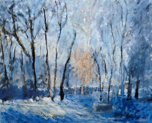 Snow in the Garden, 1993  od Patricia  Espir