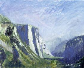 El Capitan, Yosemite National Park, 1993 (oil on canvas) 