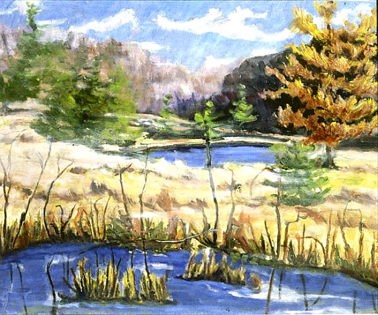 Beaver Swamp od  Patricia  Eyre