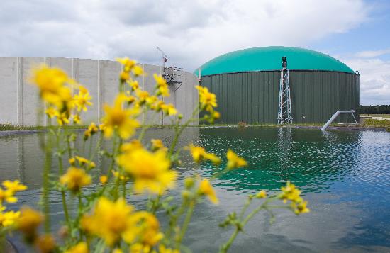 Biogasanlage in Turnow od Patrick Pleul