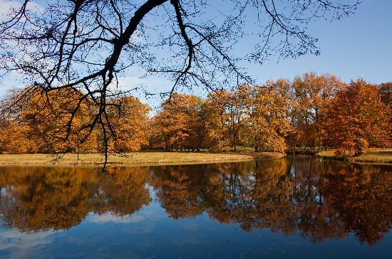 Branitzer Park im Herbst od Patrick Pleul