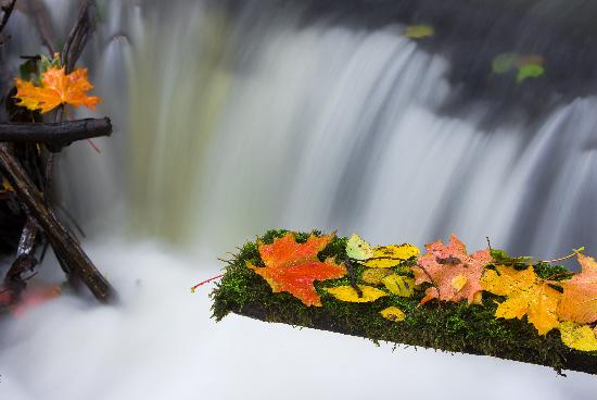 Herbstfeature in Märkisch-Oderland od Patrick Pleul