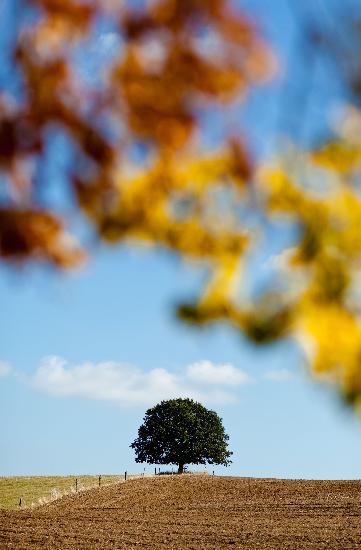Herbstliche Landschaft der Uckermark od Patrick Pleul