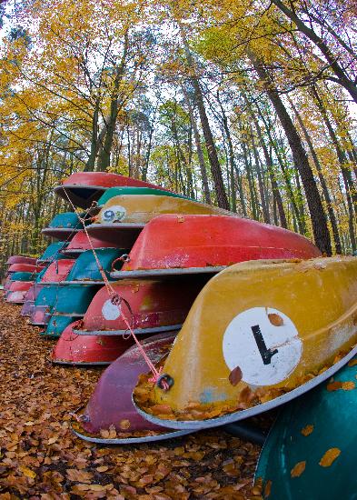 Ruderboote im Herbstwald am Stechlinsee od Patrick Pleul