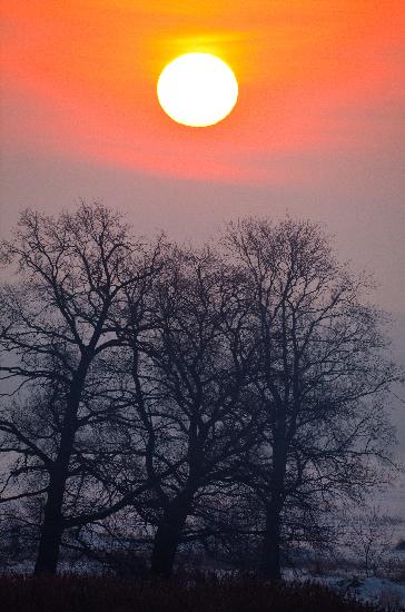Sonnenaufgang an der Oder od Patrick Pleul