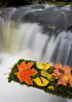 Herbstfeature in Märkisch-Oderland