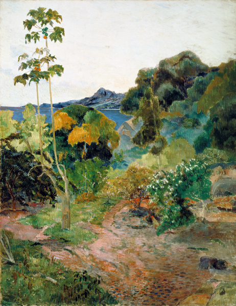 Tropical Vegetation, Martinique od Paul Gauguin
