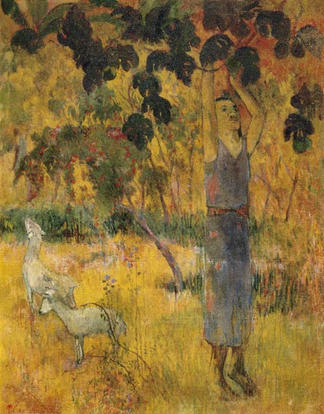 Man Picking Fruit from a Tree od Paul Gauguin