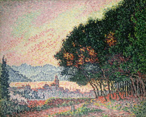 Forest near St. Tropez, 1902 od Paul Signac