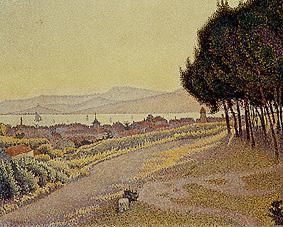 Pine grove about Saint Tropez. od Paul Signac