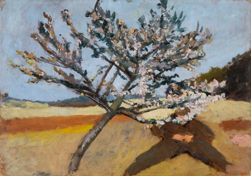 Man lying beneath a Blossoming Tree od Paula Modersohn-Becker