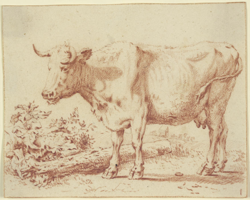 Kuh nach links bei einem am Boden liegenden Baumstamm od Paulus Potter