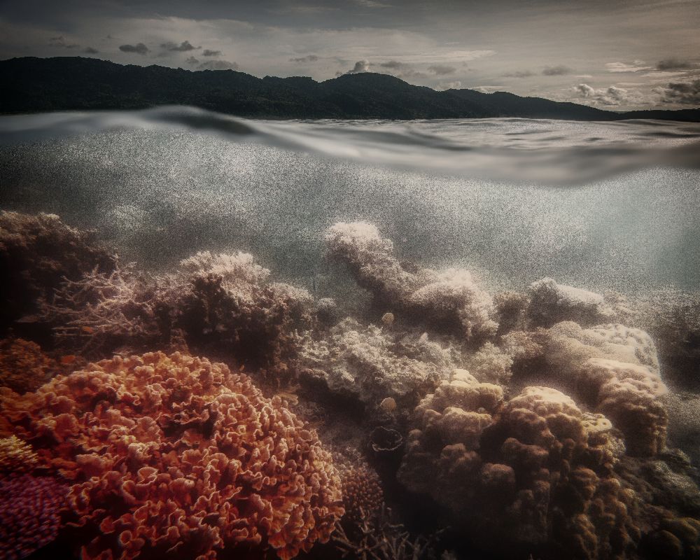 underwater evening od Pavol Stranak