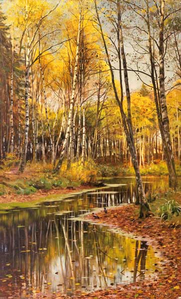 Birch Forest in the Autumn Light od Peder Moensted