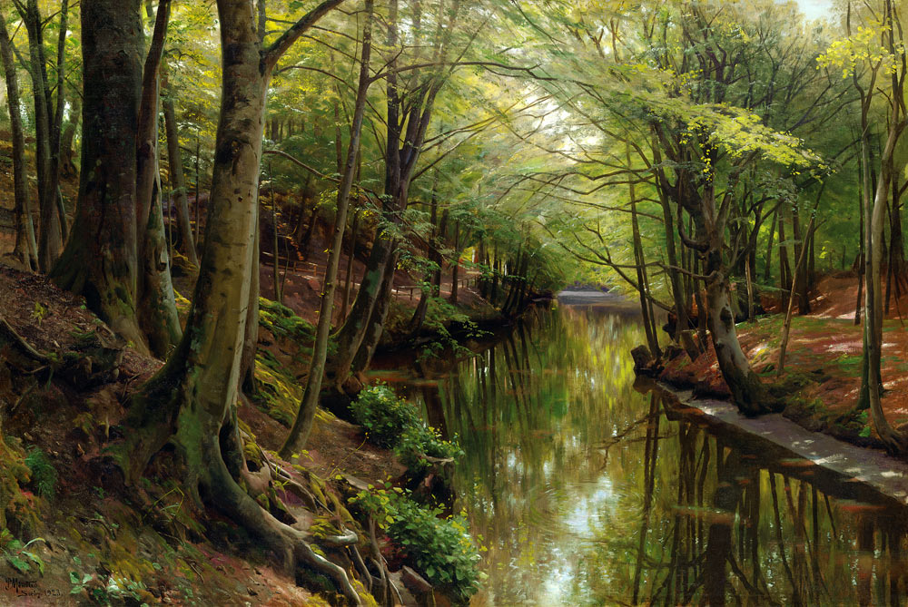 Gewässer in einem Wald od Peder Moensted