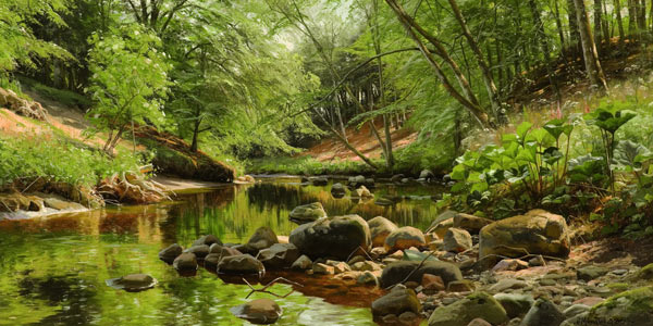 Sunny Forest Stream od Peder Moensted