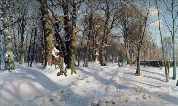 Snowy Winter Forest in the Sunlight od Peder Moensted