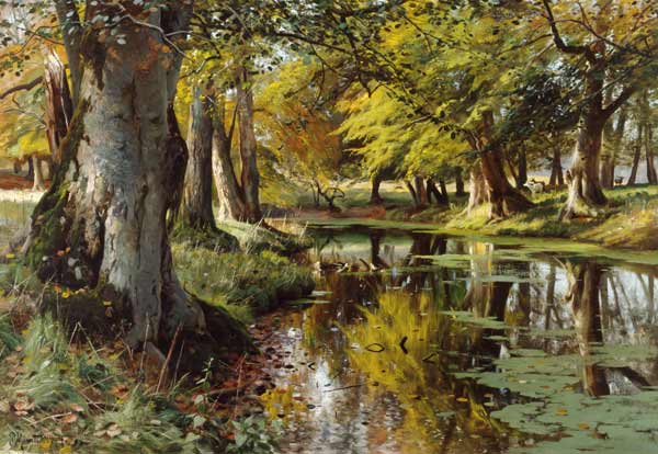Late Summer at the Forest Stream od Peder Moensted