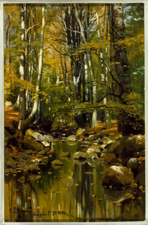 Forest Stream in Late Summer od Peder Moensted