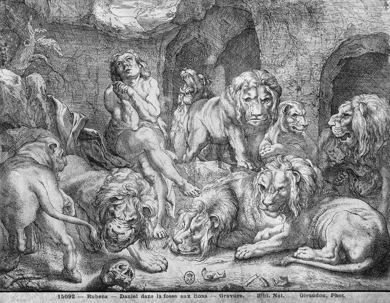 Daniel in the lions'' den od Peter Paul Rubens