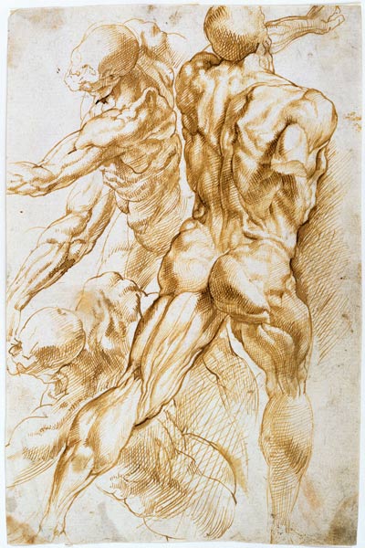 Anatomische Studie: Kämpfende Akte. od Peter Paul Rubens