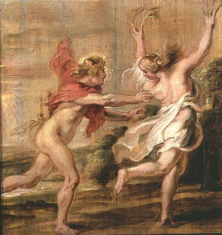 Apollo and Daphne od Peter Paul Rubens