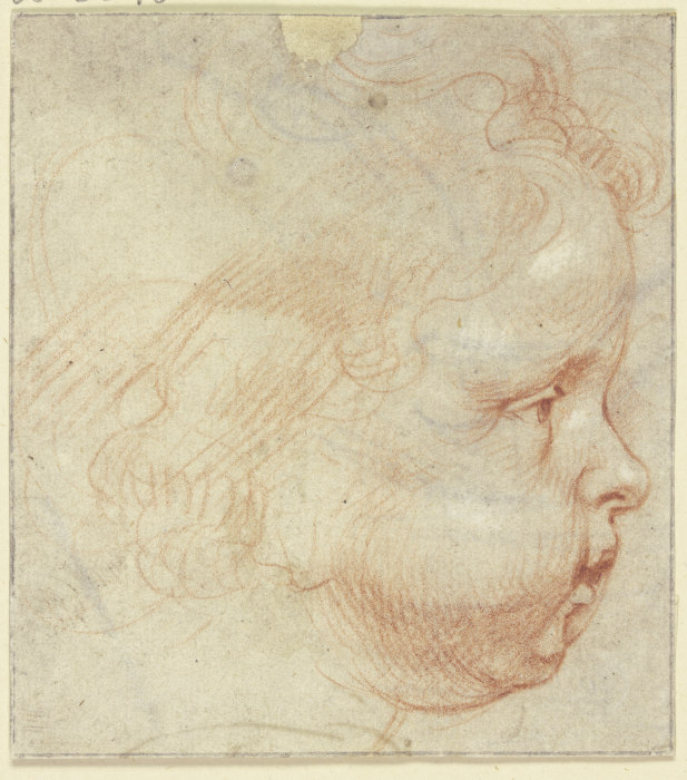 Kinderkopf im Profil nach rechts od Peter Paul Rubens