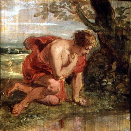 Narcissus od Peter Paul Rubens