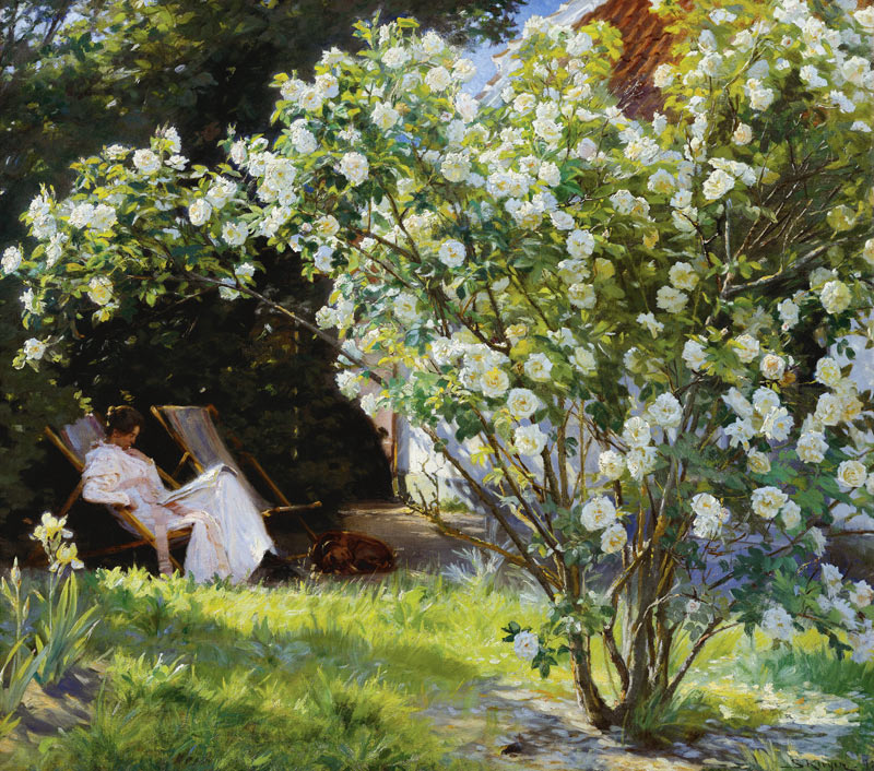 Roses, or The Artist's Wife in the Garden at Skagen od Peter Severin Kroyer