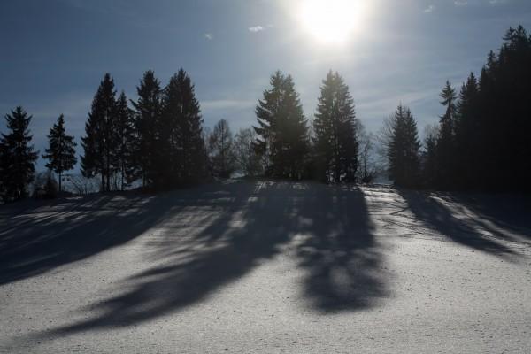 Bäume mit Schatten in Winterlandschaft od Peter Wienerroither