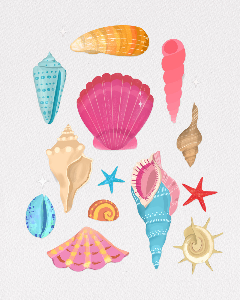Seashells od Petra Lizde