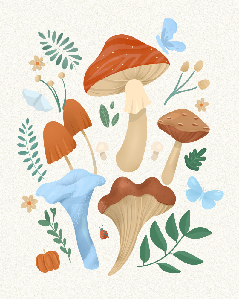 Fungi od Petra Lizde