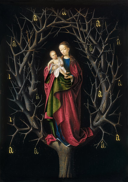 The Virgin of the dry Tree od Petrus Christus