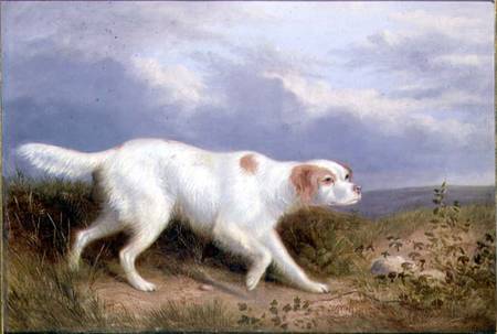 A Setter on the Moor od Philip Reinagle