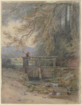 Forest landscape with weir
